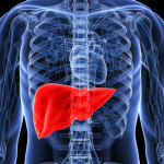 disintossicare_fegato_detox_epatico