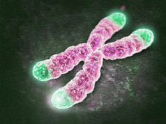 Come l’attività fisica può prevenire l’invecchiamento e allungarti la vita attività fisica, telomeri, prevenire invecchiamento
