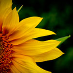 Accademia_IN_newsletter_02