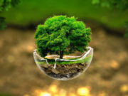 Come ridurre l’impatto ambientale: Invito ad una giornata “Zero-Waste” zero waste