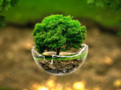 Come ridurre l’impatto ambientale: Invito ad una giornata “Zero-Waste” zero waste