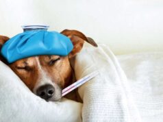 Malattia? Conoscere è già curarsi!