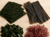 Le Alghe, un superfood ma anche un super “cerotto” naturale che non ti aspetti!