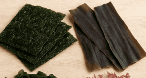 Le Alghe, un superfood ma anche un super “cerotto” naturale che non ti aspetti!